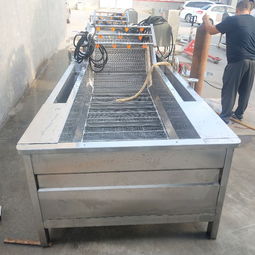 【果蔬清洗線、水產(chǎn)品清洗設(shè)備、土豆清洗設(shè)備、大棗清洗設(shè)備】- 